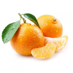 Mandarin Fruit Mandarin Fruit